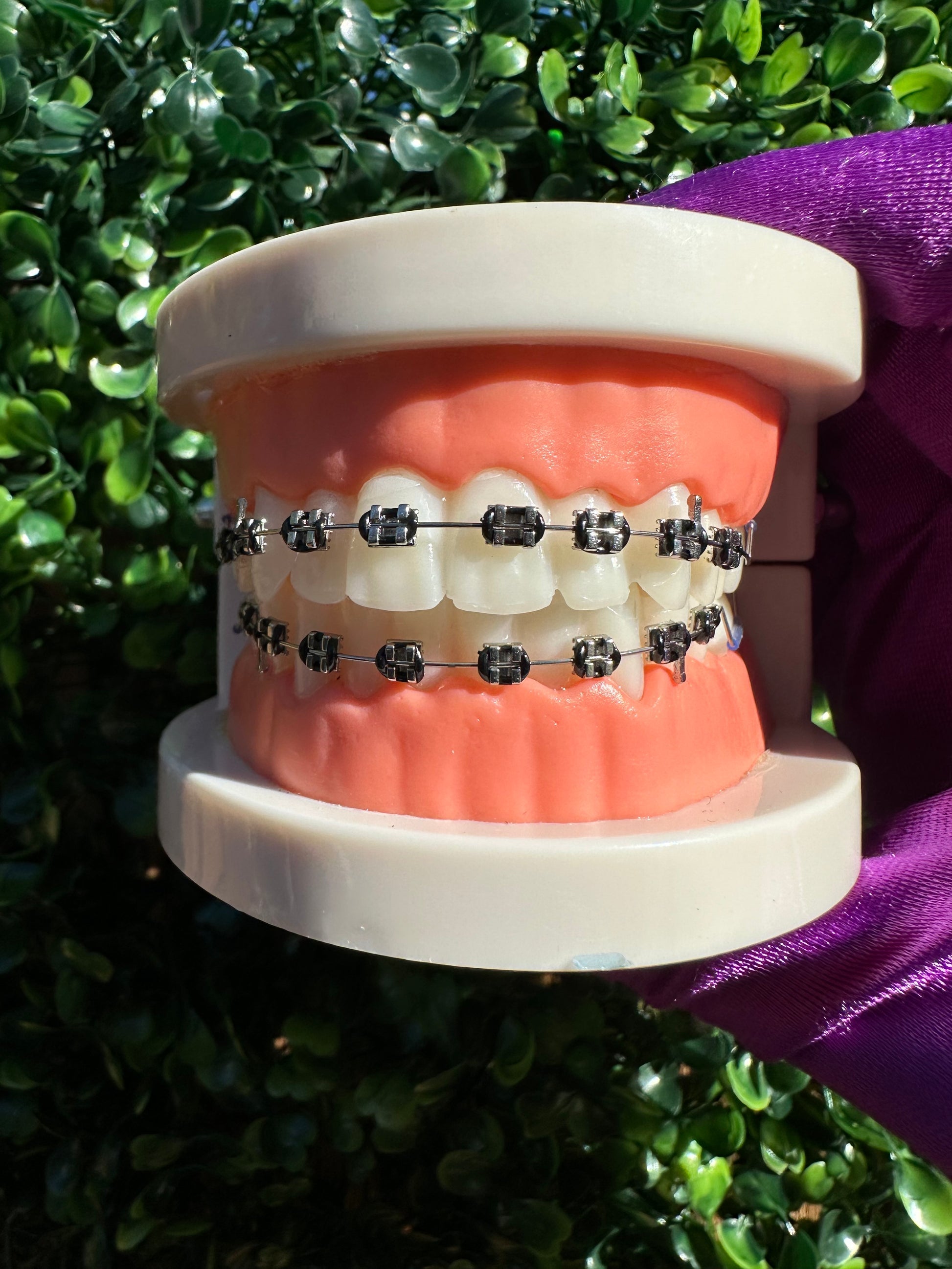 Olinaa® Clip-on Braces VIP